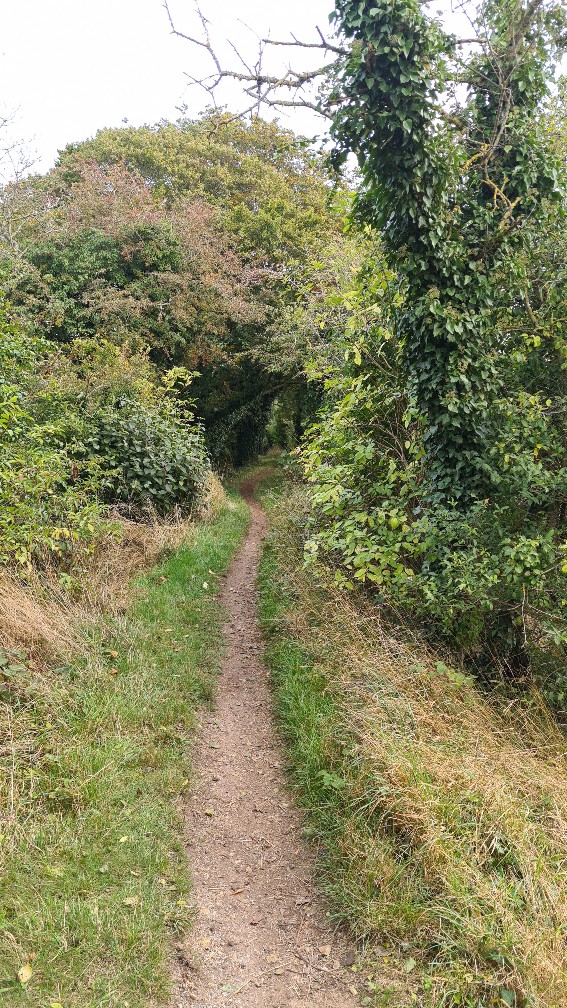 Centurion Autumn 100 A100 blog race report