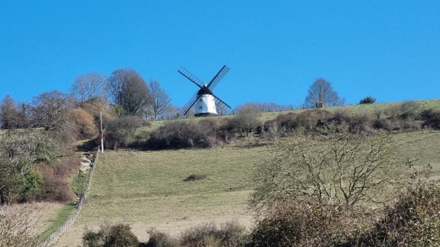 CW50 Chiltern Wonderland Centurion Race Report