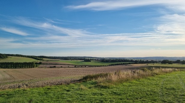 CW50 Chiltern Wonderland Centurion Race Report