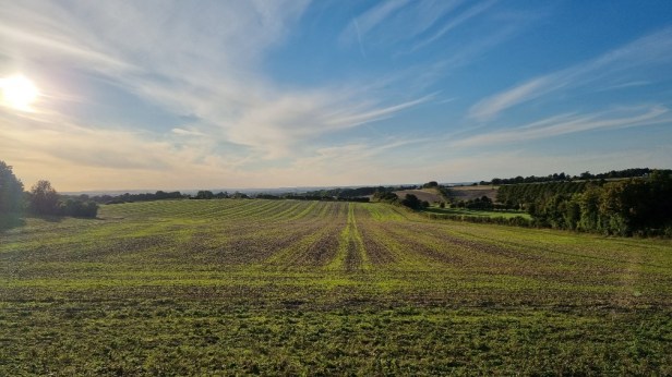 CW50 Chiltern Wonderland Centurion Race Report