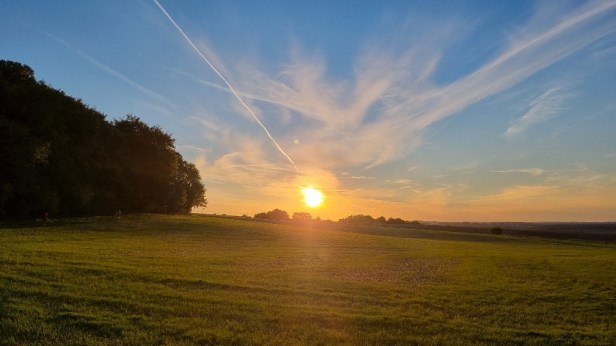 CW50 Chiltern Wonderland Centurion Race Report