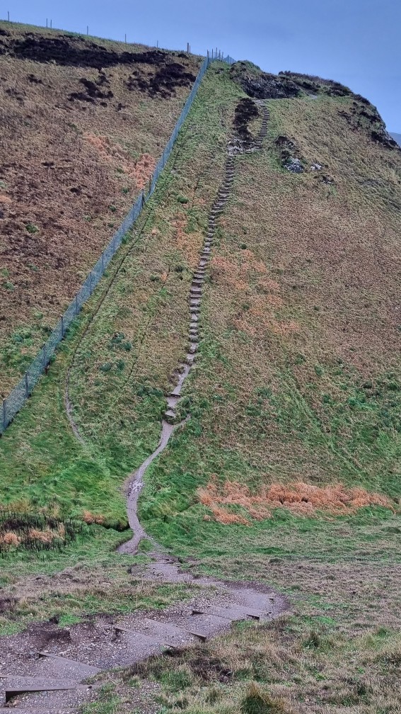 Arc of Attrition 50
Race Report